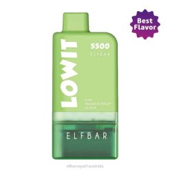 Elf Bar Australia Review 6N8R372 | Kiwi Passion Fruit Guava Pod + Green Battery ELFBAR LOWIT 5500 Prefilled Pod Kit