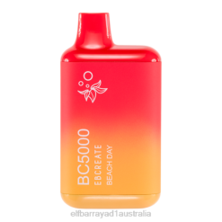 Elf Bar Sydney 6N8R212 | Beach Day ELFBAR BC5000 Disposable Vape